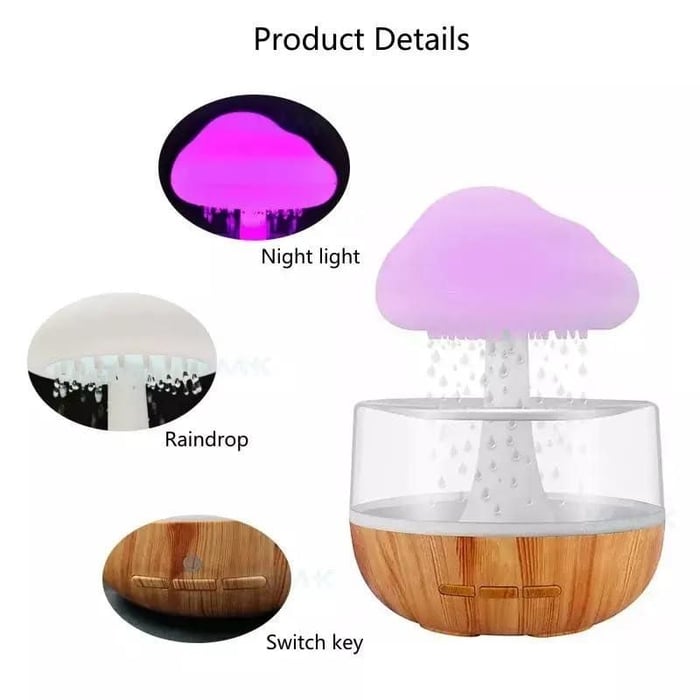 Rain Cloud Diffuser Humidifier