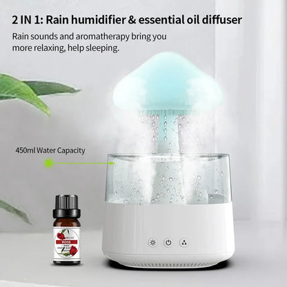 Rain Cloud Diffuser Humidifier